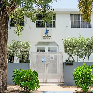 3* Pensión The Pelican Poshtel