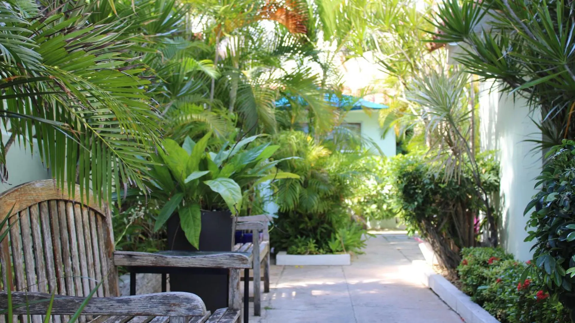 Apartahotel Numero Uno Beach Apartments San Juan