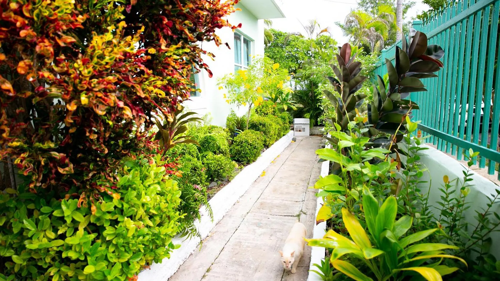 Apartahotel Numero Uno Beach Apartments San Juan